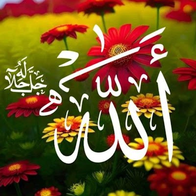 OmariAfgha25862's profile picture. 