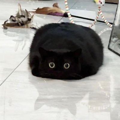 น้องเหมวเหมวさんのプロフィール画像