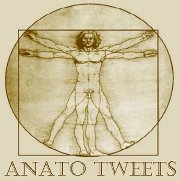 Un microblog con tweets dedicados a la anatomía del cuerpo humano y sus funciones / ¡Bienvenido! #anatodato #anatocuriosidades #anatotip #anatopoema #anatofrase