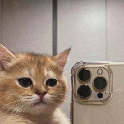 1mermermerve's profile picture. 25🇹🇷