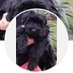 Die Lotte (@connykoberc1) Twitter profile photo Die Lotte (@connykoberc1) Twitter profile photo