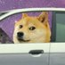 BellsBit (@zkevmrollup) Twitter profile photo