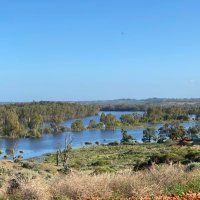 GRDC (@glennchisholm4) 's Twitter Profile
