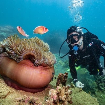 kitaravn's profile picture. interested in HR Tech, AI, Web3