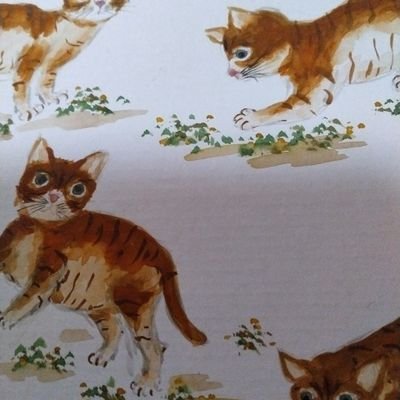 317h28's profile picture. 終活中
多趣味です   宜しくお願いします😊