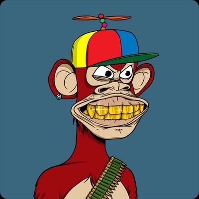 syefan_BTC's profile picture. Blockchain explorer, one transaction at a time