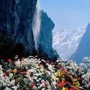 Lisa Strope - @BornagainLisa - Twitter