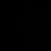 Champagne Rose (@pagnerose) 's Twitter Profile