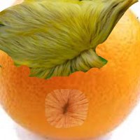 Farty Trump(@DumpATrumpFart) 's Twitter Profile Photo