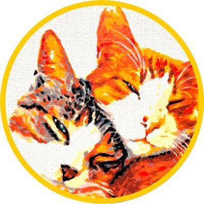 shokotaru_nyan's profile picture. 知り合いの職場で保護された とっても仲良しな兄弟猫💕 🐈カリカリの為なら頭を使う食いしん坊でドジなタルトくんと 🐈‍⬛ジブリのバロン伯爵の様な目を持つイケメンで運動神経抜群のショコラくん✨ YouTube配信してるにゃん😸。 😉DIY好きな飼い主の呟きもあるにゃん♪