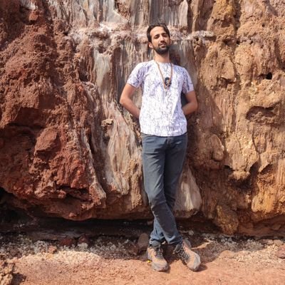 laajevardi's profile picture. This too shall pass