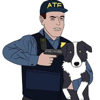comeoncomet11's profile picture. Nope