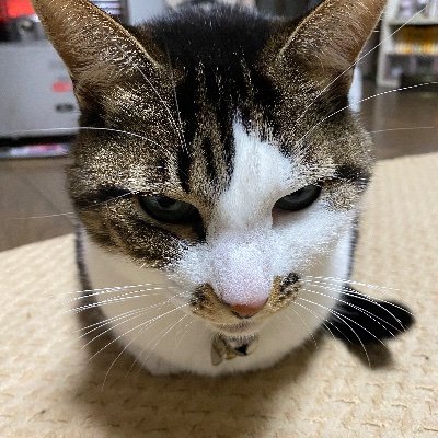 GVAd8hb2VV32737's profile picture. 