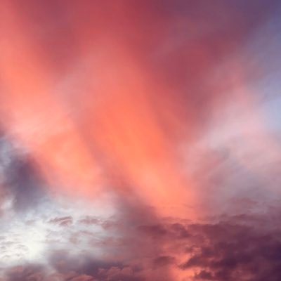 juno3979's profile picture. moon