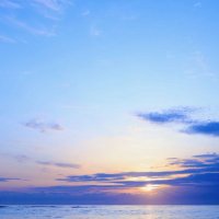 鳴神 (@vd9sa) 's Twitter Profile