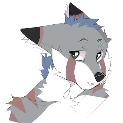 AD | wolf fur | 24 yo | BE/TH | no RP | Be aware of NSFW stuff here!