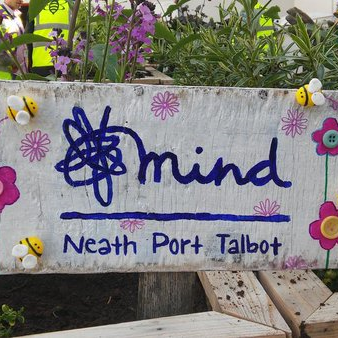 NPT Mind Profile