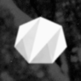 illamonstres's profile picture. 