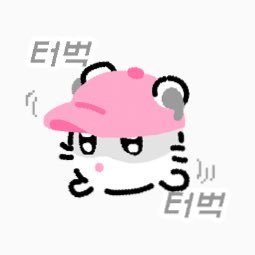 깡똥 Profile