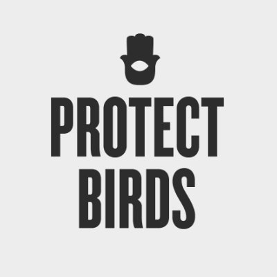 Protect_Birds_ Profile Picture