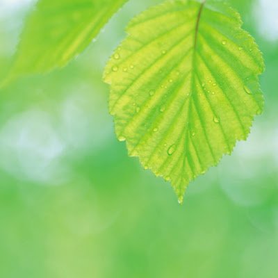 ZHuai27707's profile picture. 