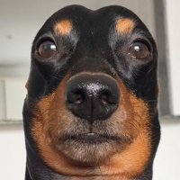 Camila (@camilapassapic) 's Twitter Profile