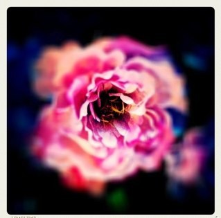 charmdud's profile picture. 