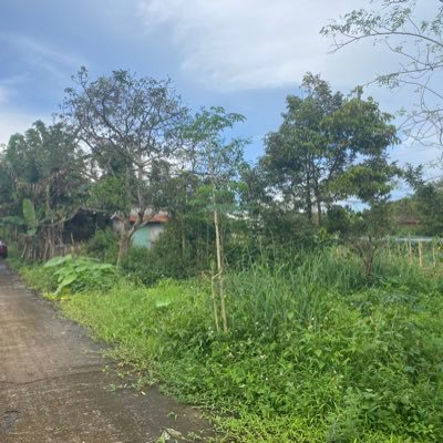 RumNguyen86's profile picture. 