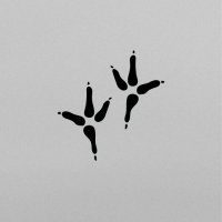 Jguilar (@jguilarr) 's Twitter Profile Photo