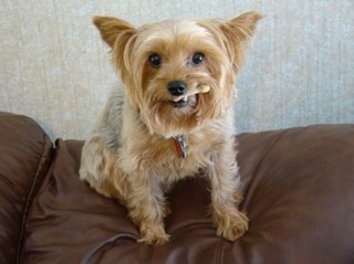 djackerman2000's profile picture. 