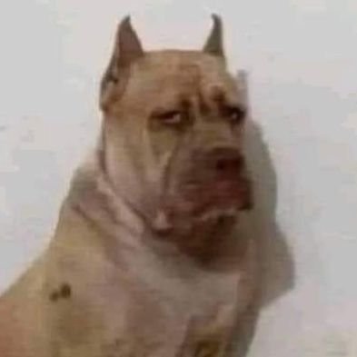 kw7307104269791's profile picture. ติดตามกลับหน่อยจ้า