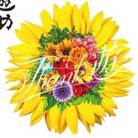 🌼 太陽花(ﾋﾏﾜﾘ)-遊助crew-fukuoka🌼(@kamiji_y_fcrew) 's Twitter Profile Photo