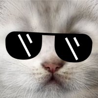 NotACat(@notacat_sol) 's Twitter Profile Photo