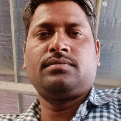 RamsanehiDas Profile Picture