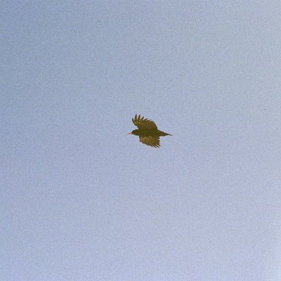 due2signal9's profile picture. 