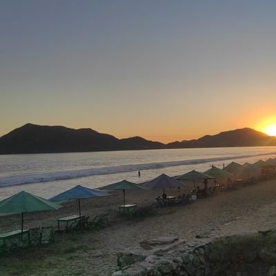 jessus_1912's profile picture. Chapinguero. Sí señor! De lo bueno lo Mejor. 
IAEPA.