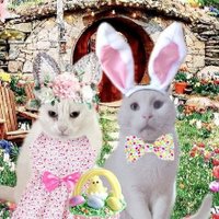 Chalky Choo Choo, Married To Marie ❤️ 🚂(@chalkymacalpi) 's Twitter Profile Photo