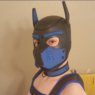 A goofy and advertious puppy. A member of #House Of Pups. Loves pups and all big men. Care for a chat or interaction. This puppy will be happy to oblige. Woof!