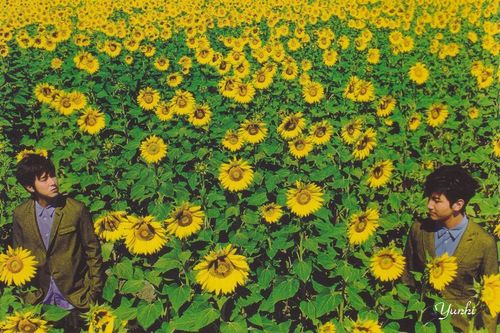 j_ymin's profile picture. Flowers with the color of happiness In heaven.......