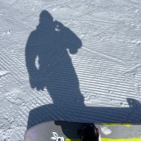 ippy.T (@t_i_shanks) 's Twitter Profile