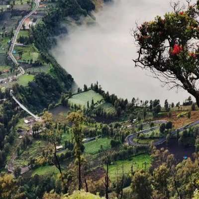 AnindiaNia's profile picture. Nex