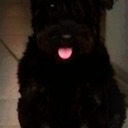 leonor morales - @LeonorMorales6 - Twitter