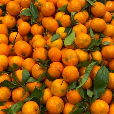 rkb741's profile picture. 