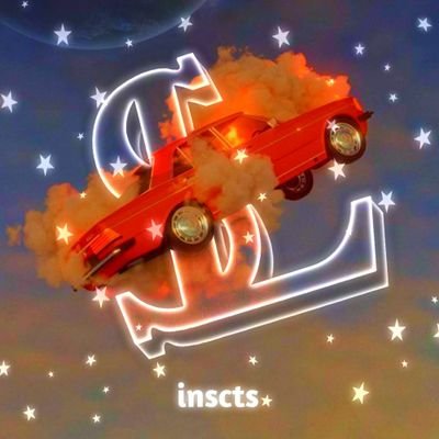 insec77s Profile Picture