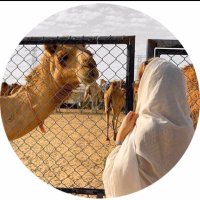 #عنق الظبي#. (@_ii11iil) 's Twitter Profile