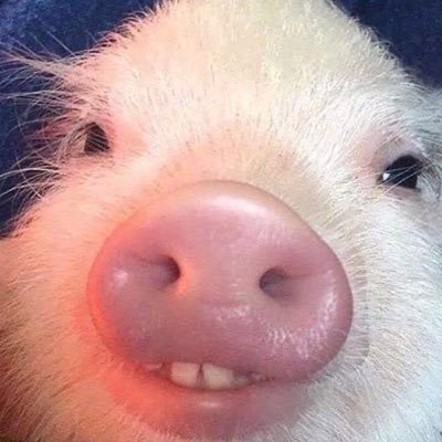 _terese_'s profile picture. 