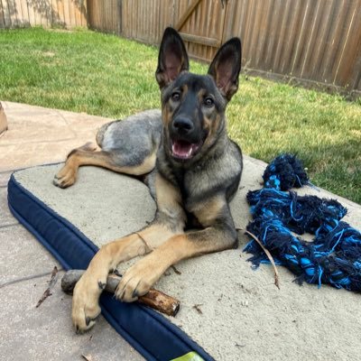 GloverA039's profile picture. 