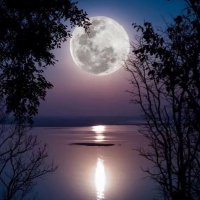 夜夜大作战 (@yueyedasai) Twitter profile photo