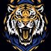 StadiumTigerFBminibooster (@stadium_fb) Twitter profile photo StadiumTigerFBminibooster (@stadium_fb) Twitter profile photo
