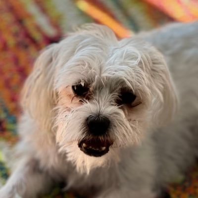 SydOzLAK's profile picture. ssshhhhhh